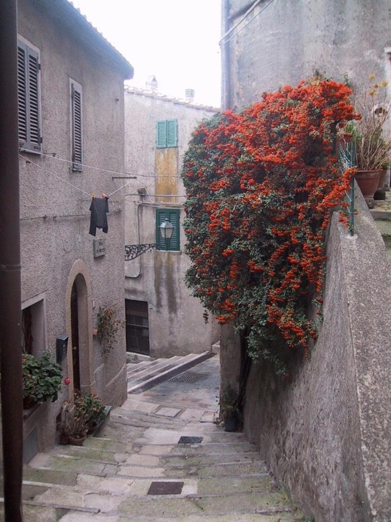 Semproniano Locanda La Pieve מראה חיצוני תמונה