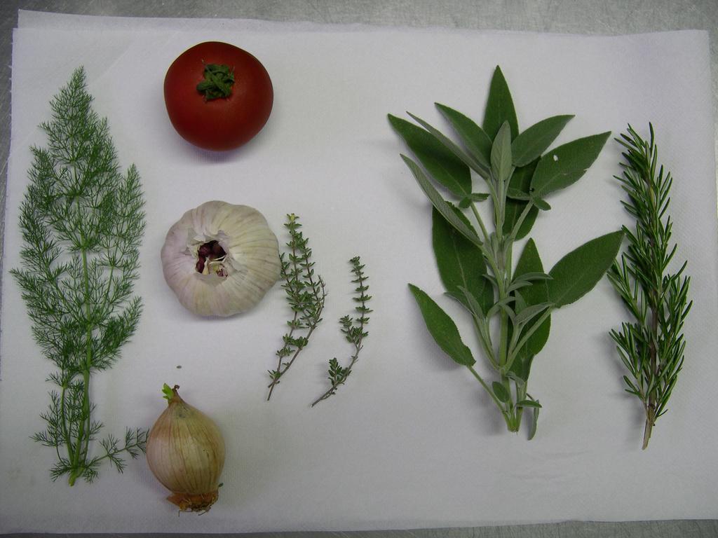 Semproniano Locanda La Pieve מראה חיצוני תמונה