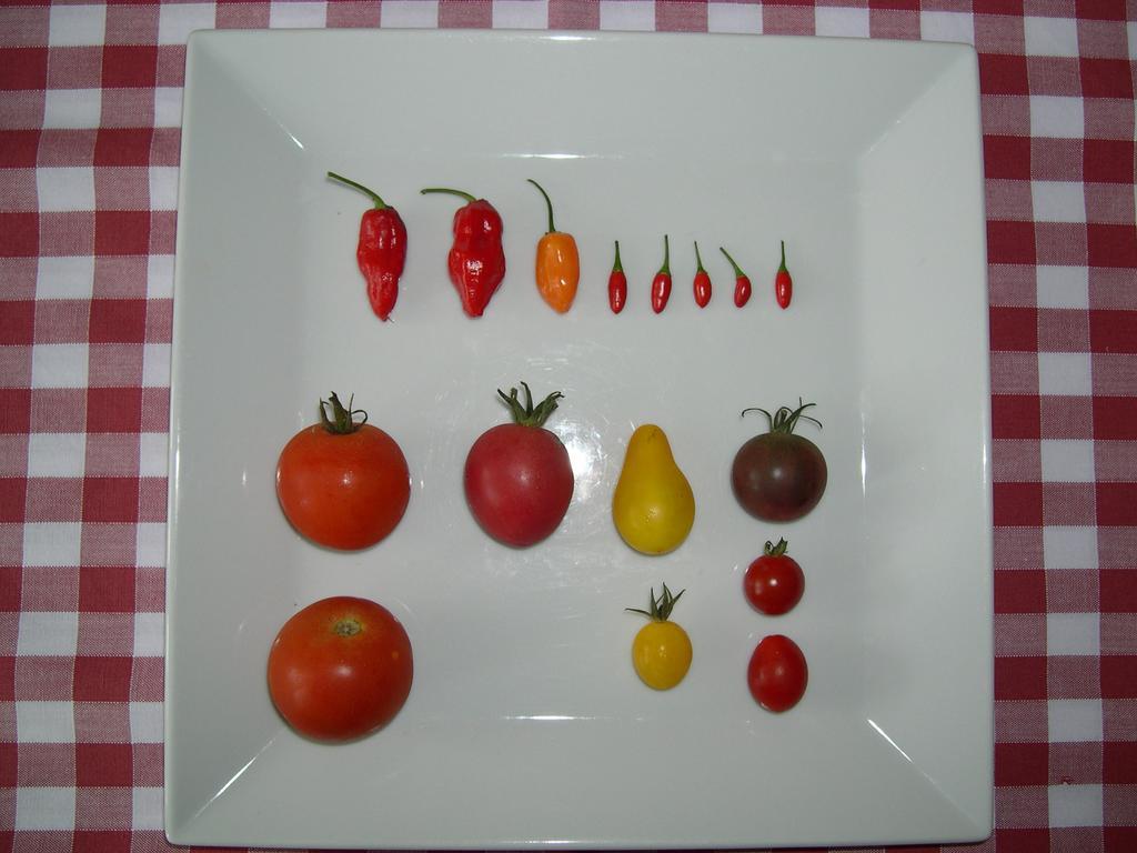 Semproniano Locanda La Pieve מראה חיצוני תמונה